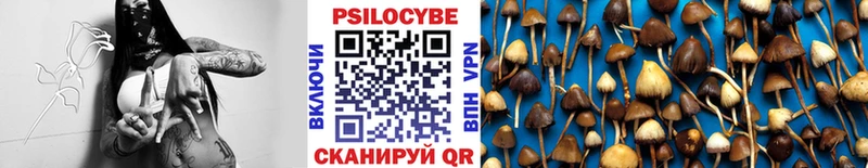 кракен как войти  наркошоп  Кизляр  Галлюциногенные грибы мицелий 