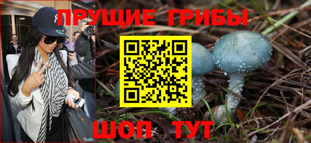 Псилоцибиновые грибы мухоморы  Вход с VPN  Кизляр  Галлюциногенные грибы Psilocybine cubensis 