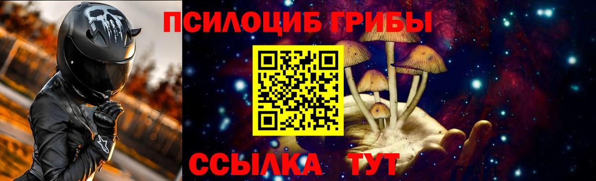 Галлюциногенные грибы Cubensis Кизляр